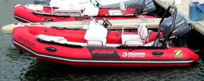 Zodiac Pro 420 1