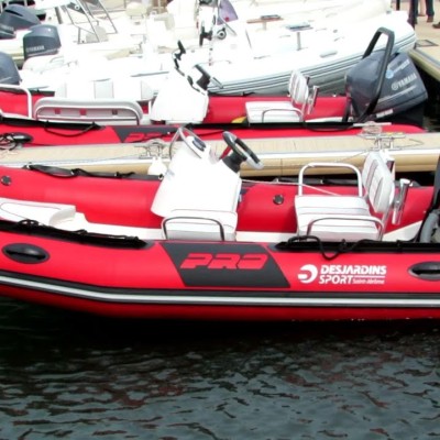 Zodiac Pro 420 1